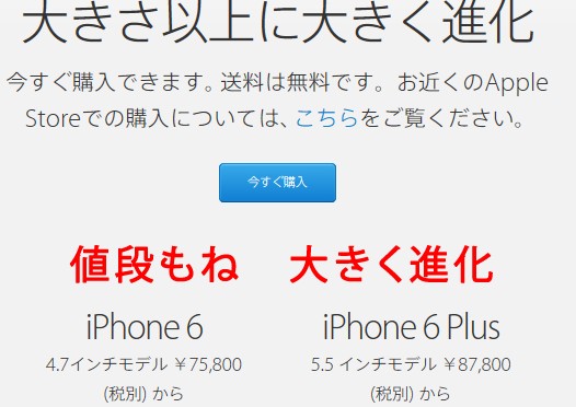 iPhone6 値上げ（Apple Store）